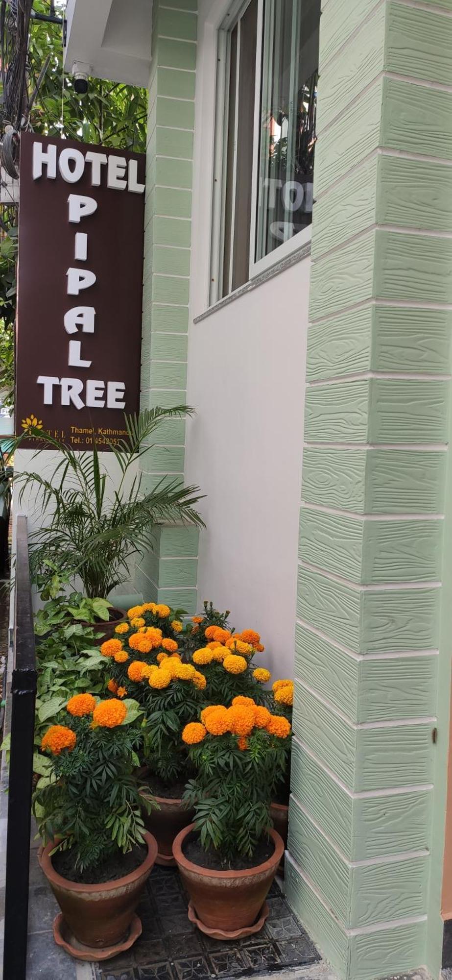 Hotel Pipal Tree Катманду Экстерьер фото